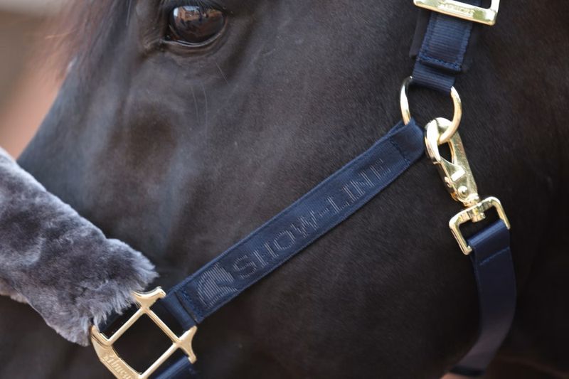 Show-Line Halter