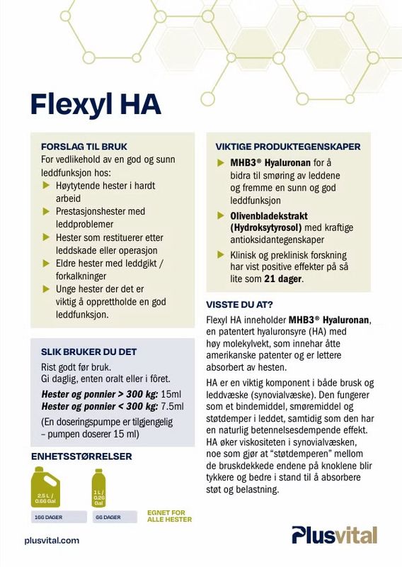 Plusvital Flexyl HA 1L