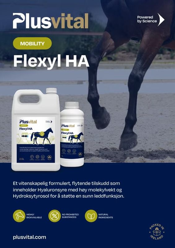 Plusvital Flexyl HA 1L