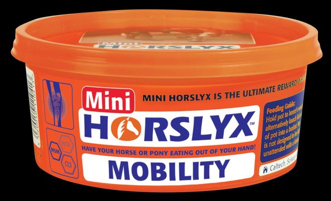 Hovedbilde Horslyx Mobility