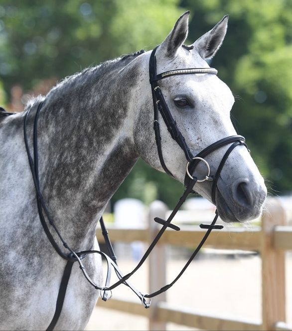 Hovedbilde Gummitøyle m/stoppere Heimer 18mm. Svart/Sølv