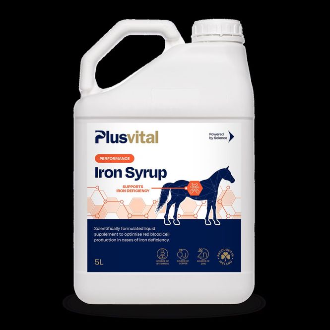 Hovedbilde Plusvital Iron Syrup 5 liter