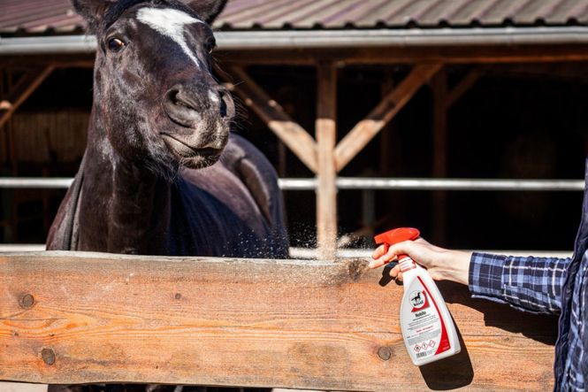 Hovedbilde Leovet No-Bite Spray 550 ml 