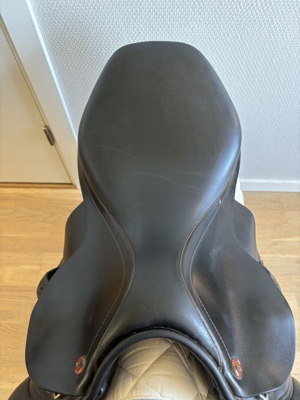 Prestige Golden Star 34/17’’ sprangsal