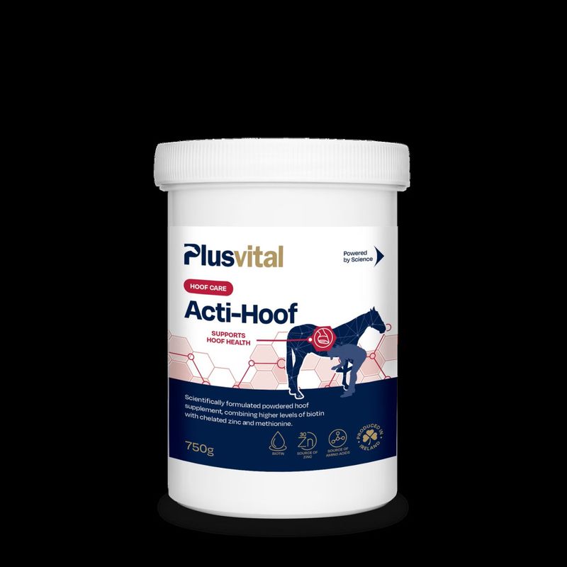 Plusvital Acti-Hoof 750g