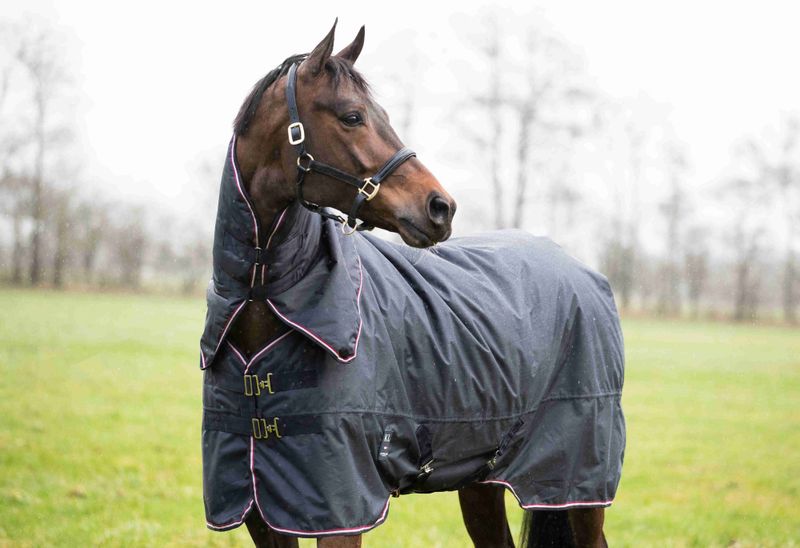 Kingsland 0g, Classic Primary Turnout Rug with Detachable Neck